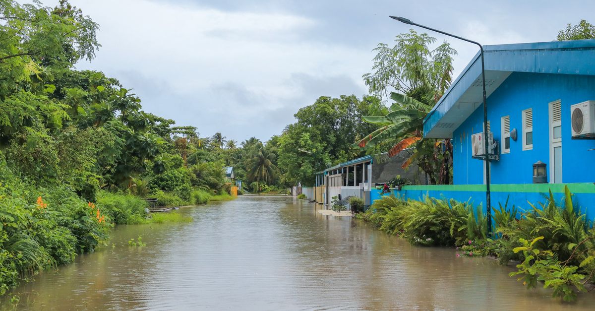 Rua alagada entre vegetação e casa azul após chuva forte